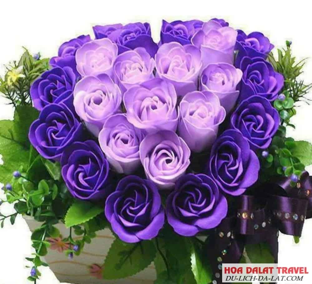 Mỗi màu sắc của hoa lại mang một ý nghĩa khác
