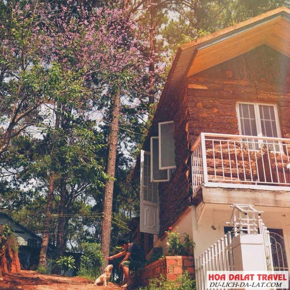 Một bầu trời hoa lá như trong cổ tích
