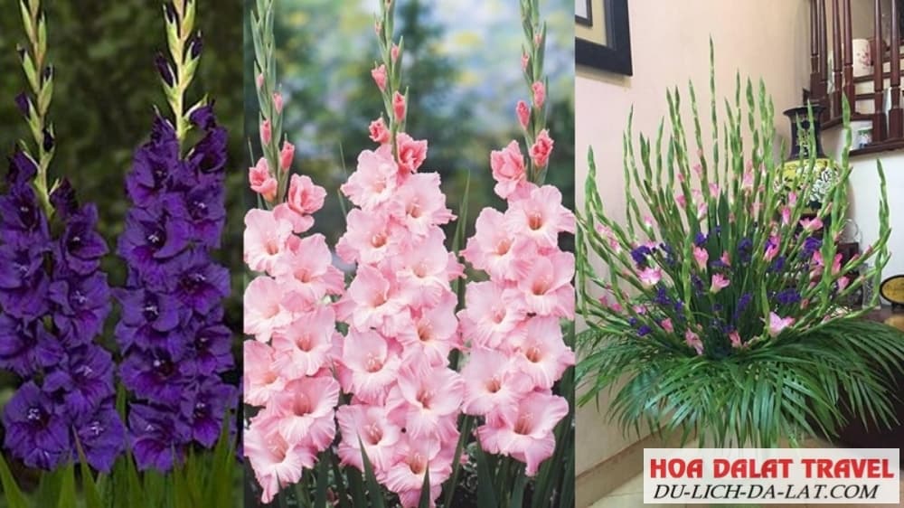 Một số kiểu cắm hoa đẹp