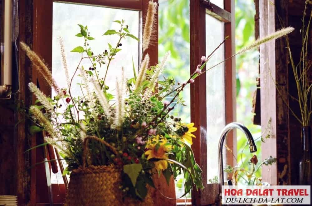Sắc hoa ngập tràn khắp không gian homestay