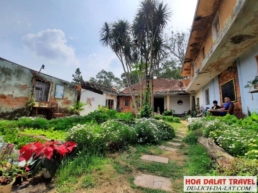 Suy Tư Trà – Acrchitecture Da Lat