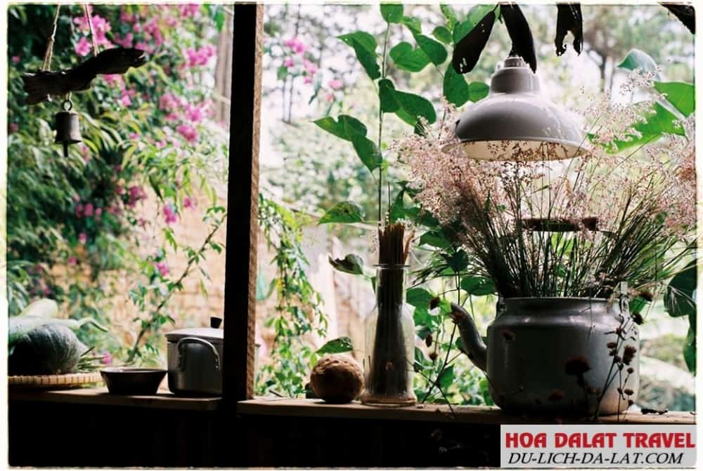 Thiết kế homestay xinh xắn
