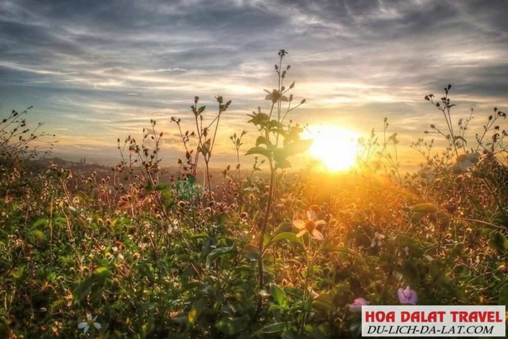Thời tiết tự nhiên
