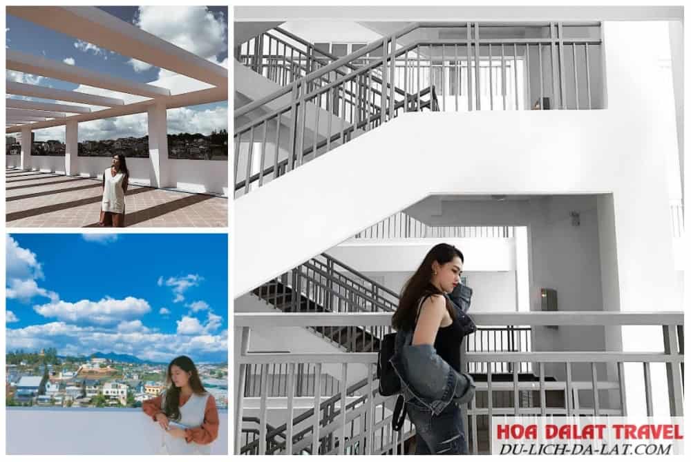 Top những trường đại học, cao đẳng ở Đà Lạt tốt nhất