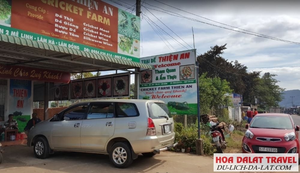 Tour Trại dế Thiên An