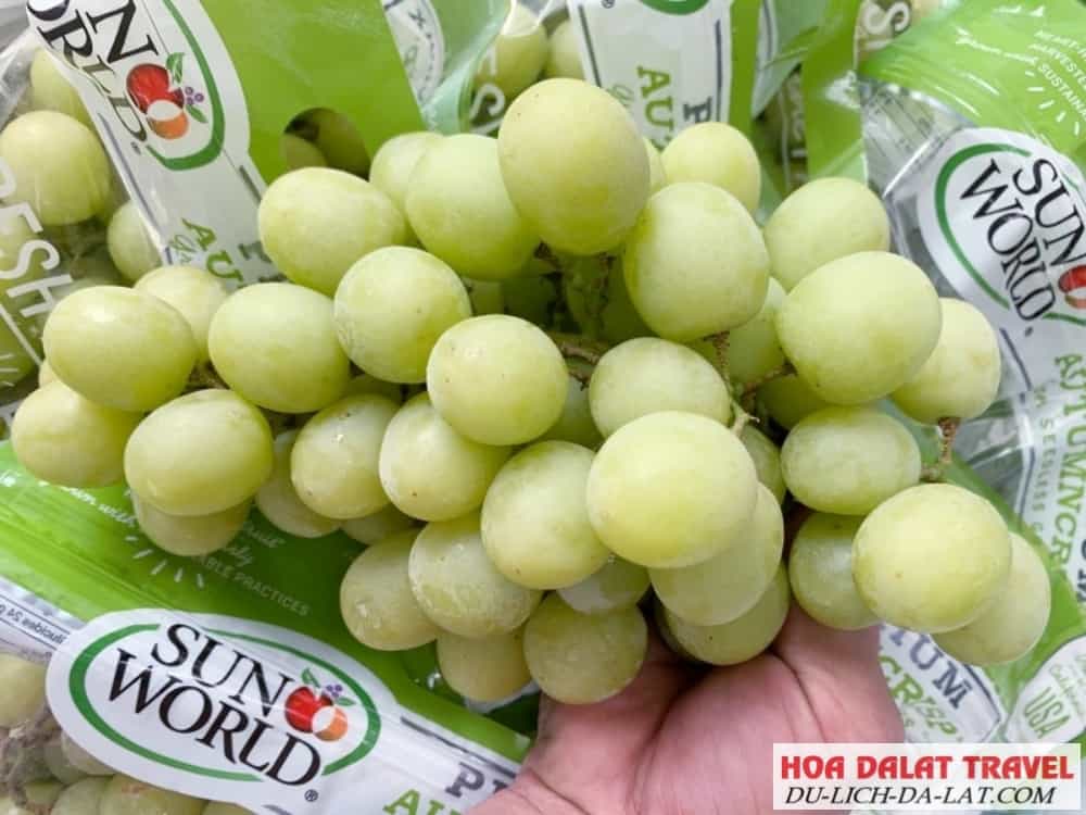 Trái cây tươi - Đà Lạt