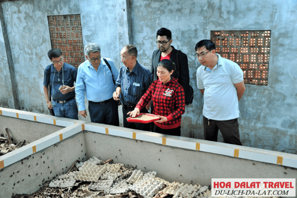 Trại dế Thiên An Lâm Hà