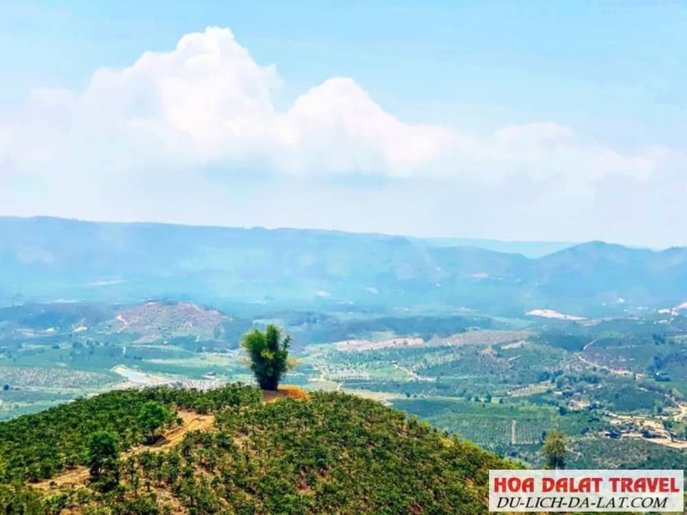 Vị trí địa lý