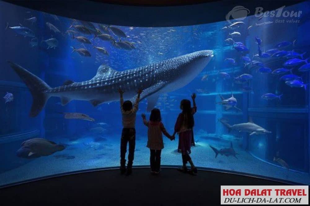 Viện Hải Dương học Nha Trang
