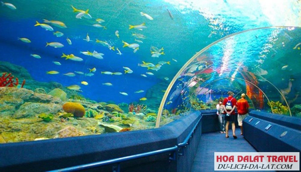Viện Hải Dương học