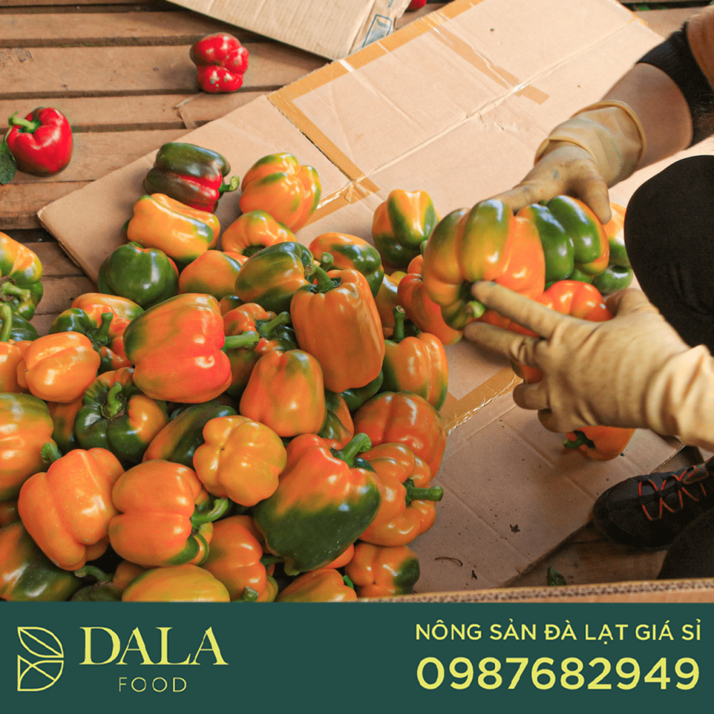 Dalat Food