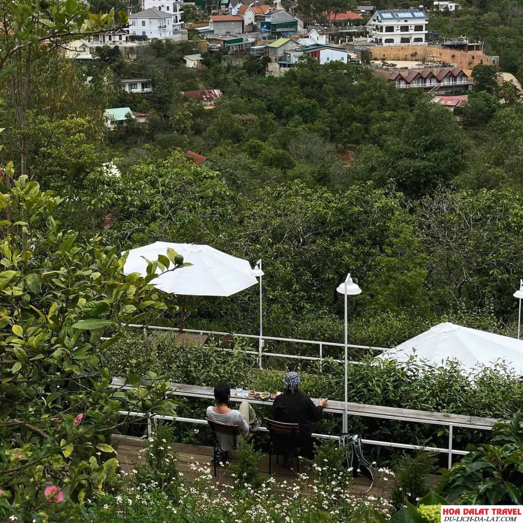 Không gian sân vườn ở Hill Hill Restaurant