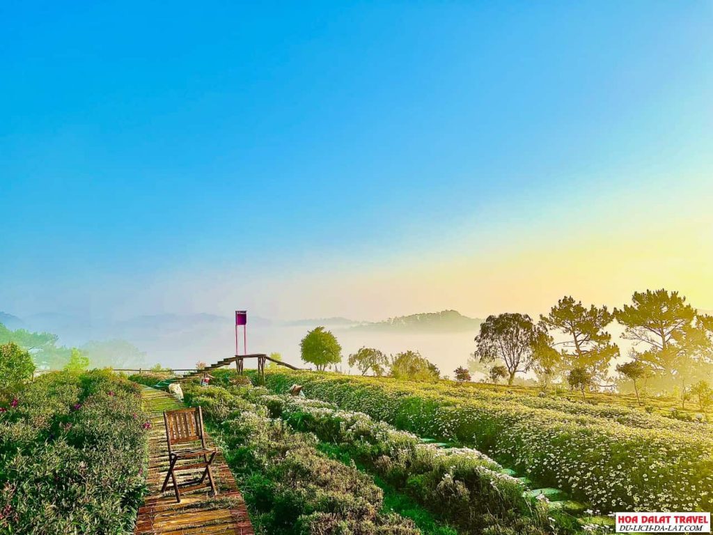 khung cảnh Đồi Mây Đà Lạt