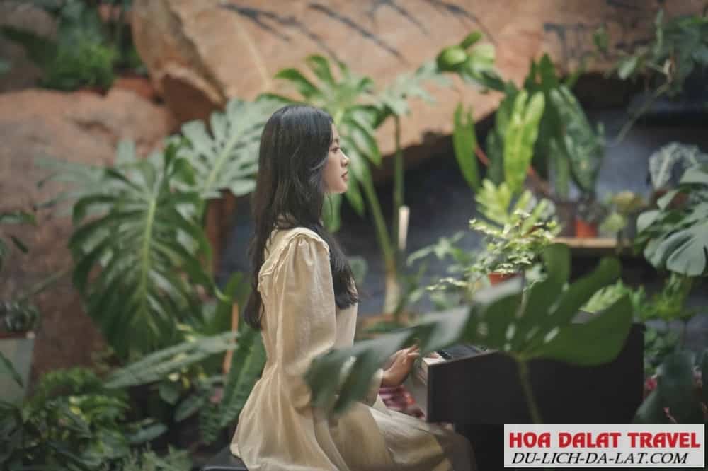 Cảm giác thoái mái và dễ chịu khi tham quan ở đây