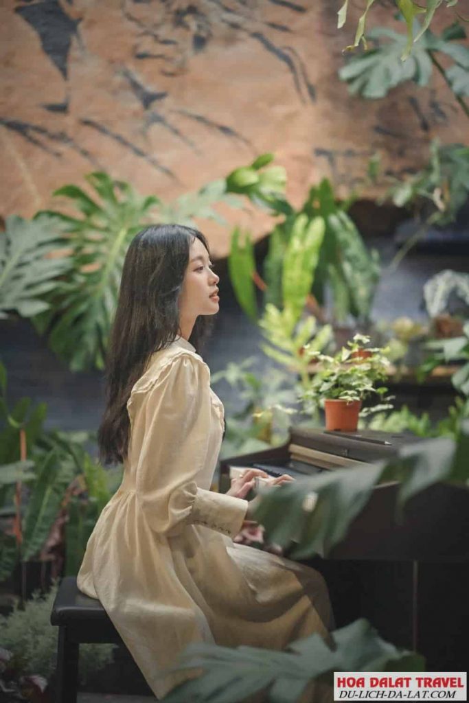 Góc ảnh khác của Hoa Sơn Điền Trang