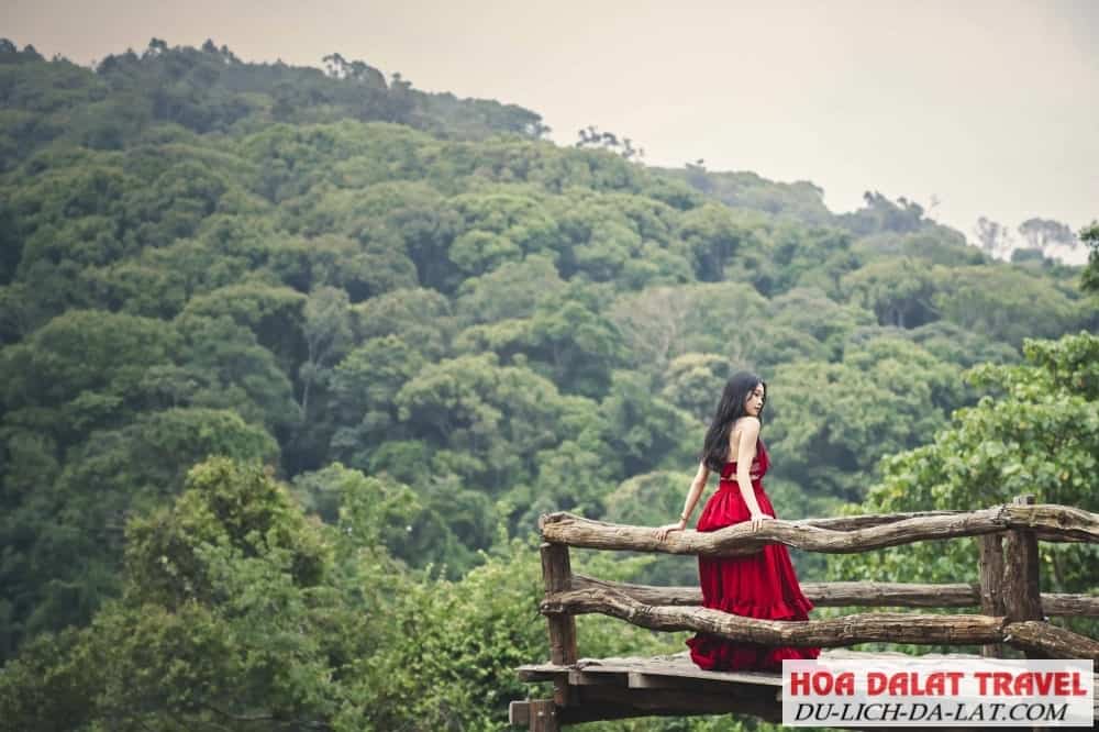 Hoa Sơn Điền Trang có gì HOT