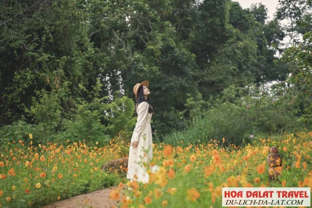 Khung cảnh cực kỳ thơ mộng và lung linh