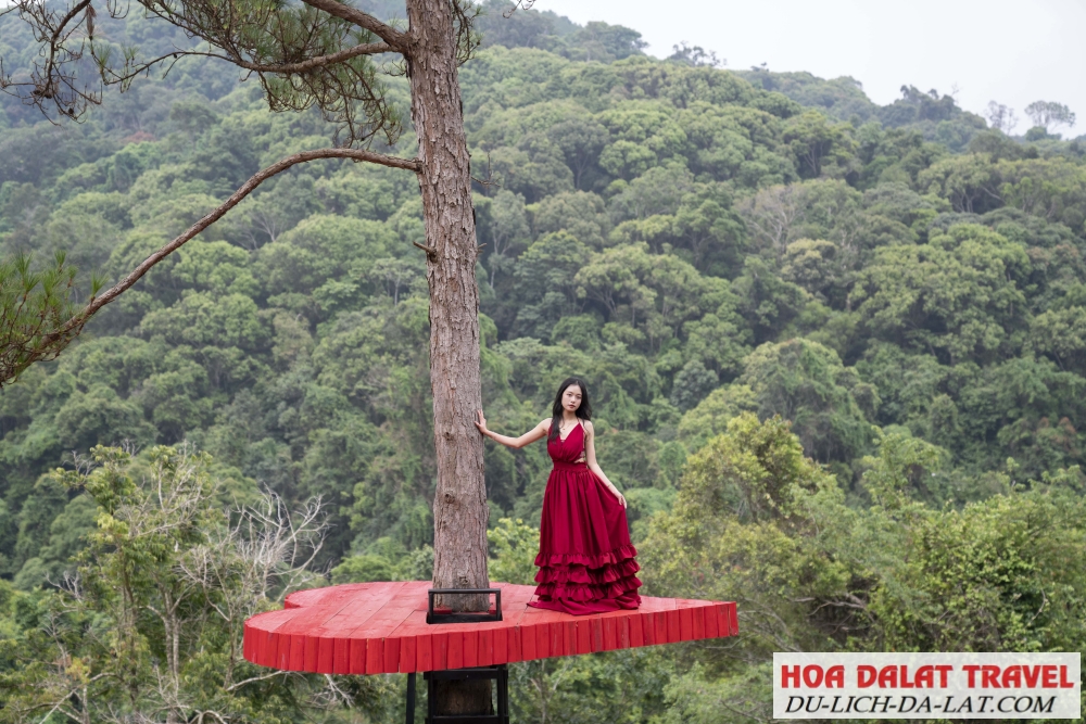 Kinh nghiệm tham quan Hoa Sơn Điền Trang