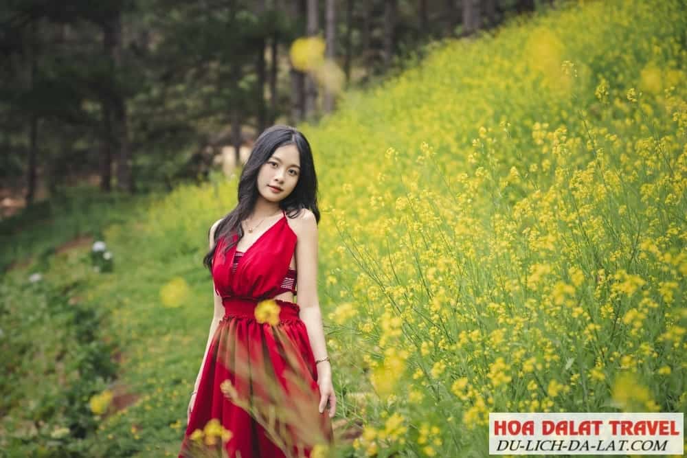 Săn những tấm hình cũng như những kỷ niệm tuyệt vời.jpg