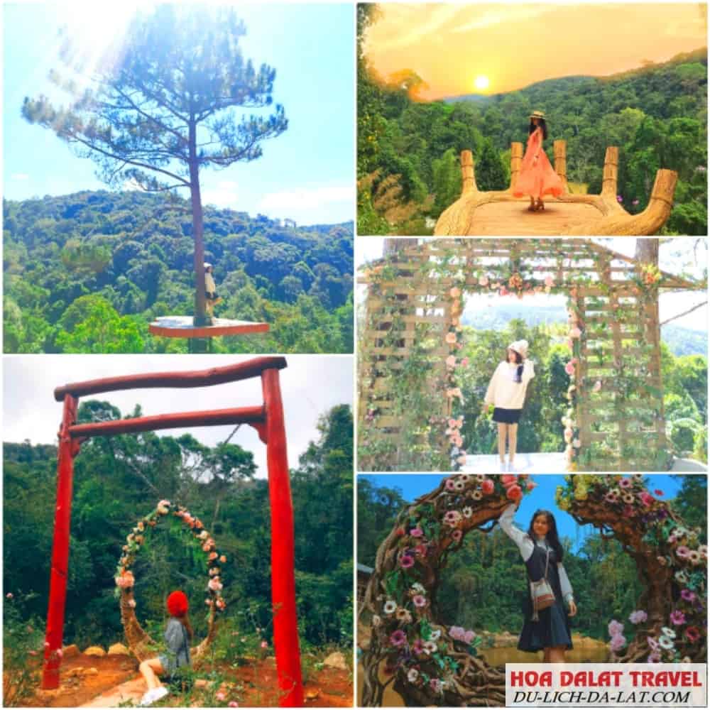 Tour tham quan địa điểm checkin Đà Lạt