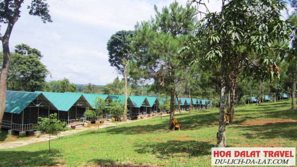 Phòng tập thể cắm trại