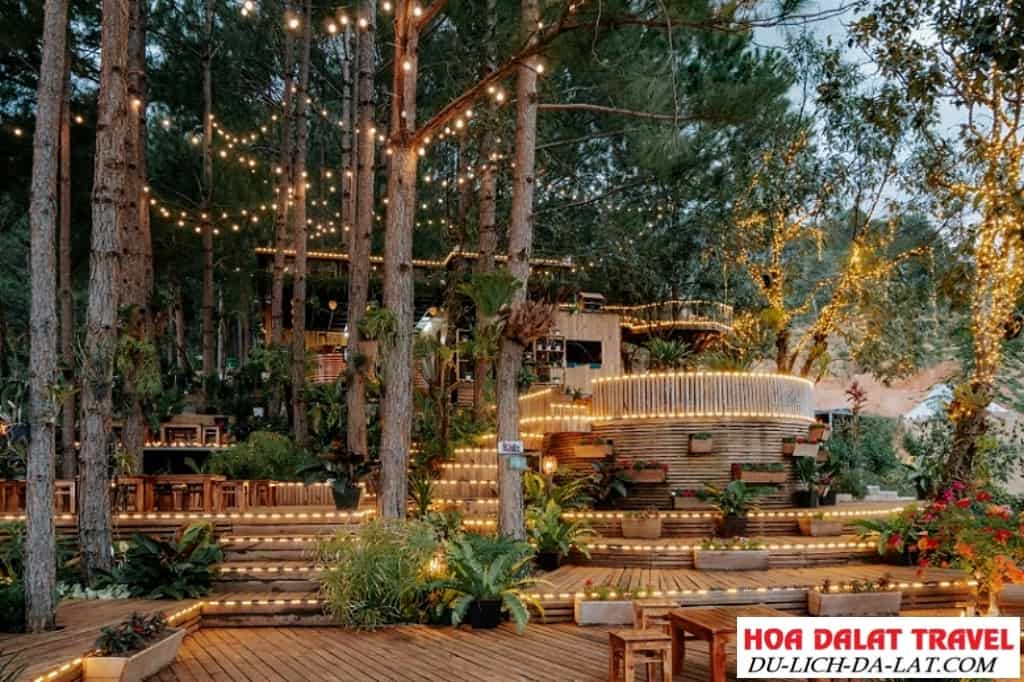 Cao Nguyên Hoa Đà Lạt - tụ điểm của những điều hấp dẫn