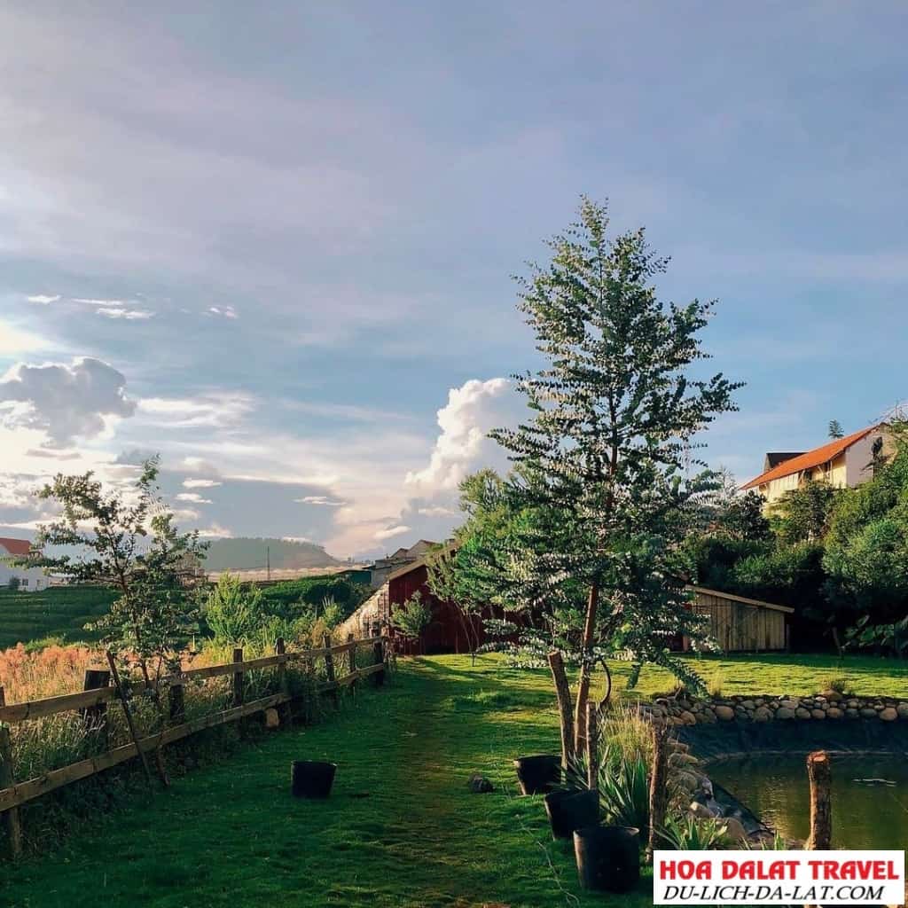 Chika Farm có gì nổi bật