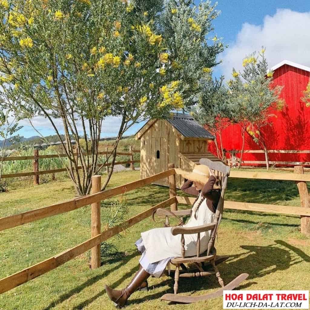 Chika Farm “đẹp không góc chết”