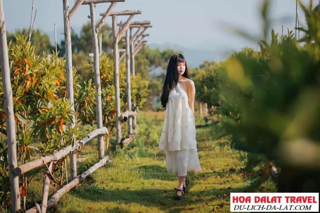 Du khách chụp hình tại Đồi Mây