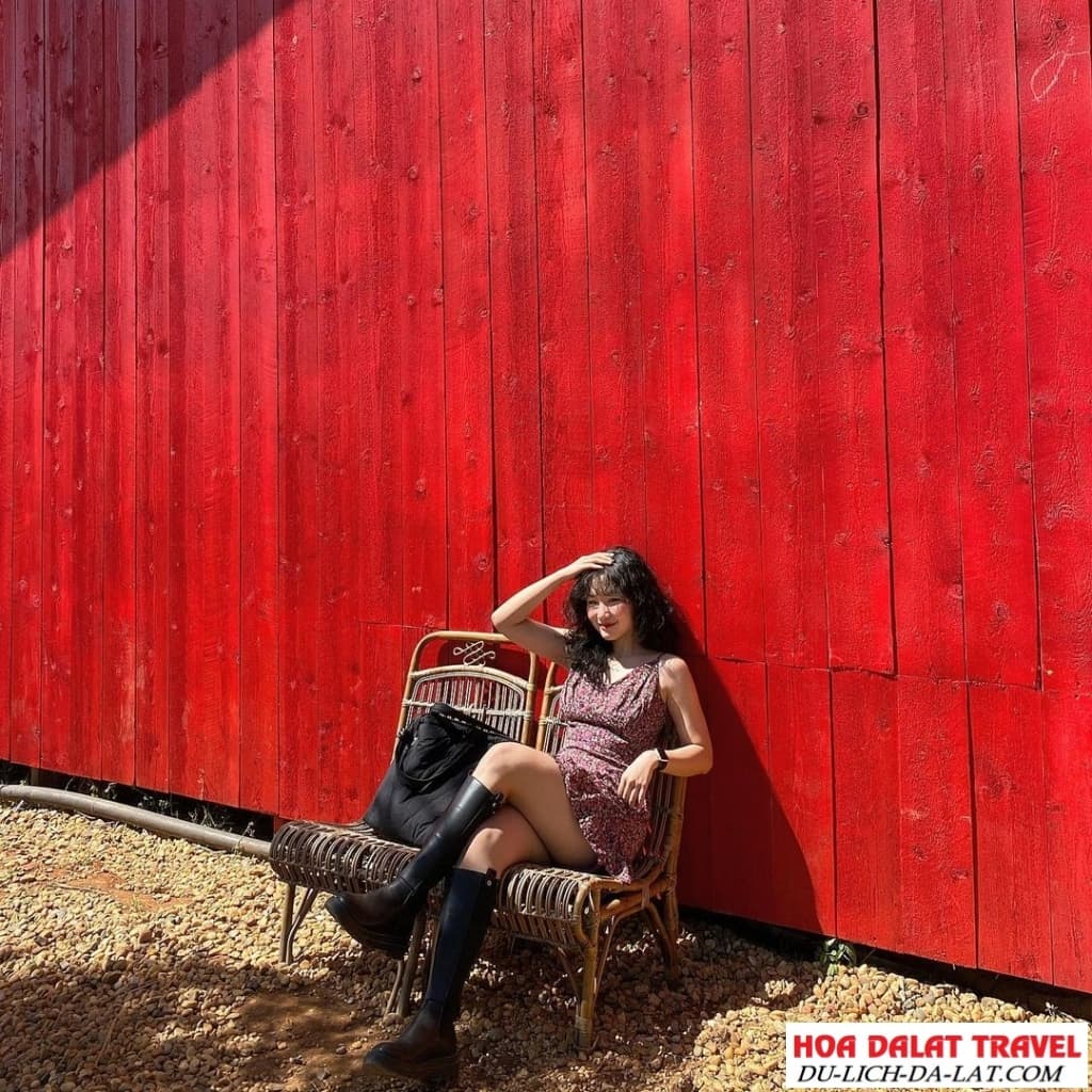 Góc nào cũng có thể xinh tại Chika Farm