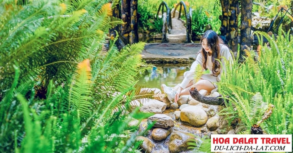 Hàng ngàn cây dương xỉ cổ đại