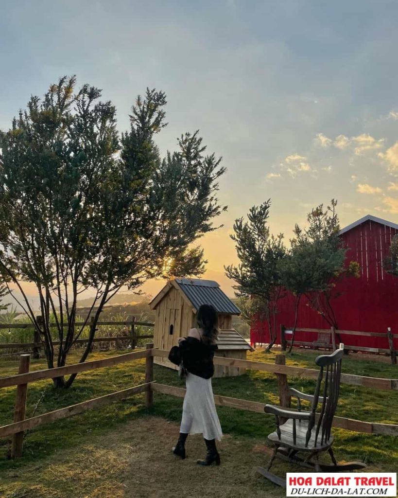 Hoàng hôn chiều tà tại Chika Farm