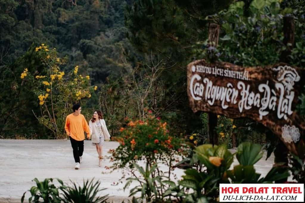 Khu du lịch Cao Nguyên Hoa Đà Lạt có gì