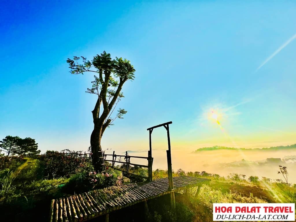 View thung lũng, nhà đèn tại Đồi Mây Đà Lạt