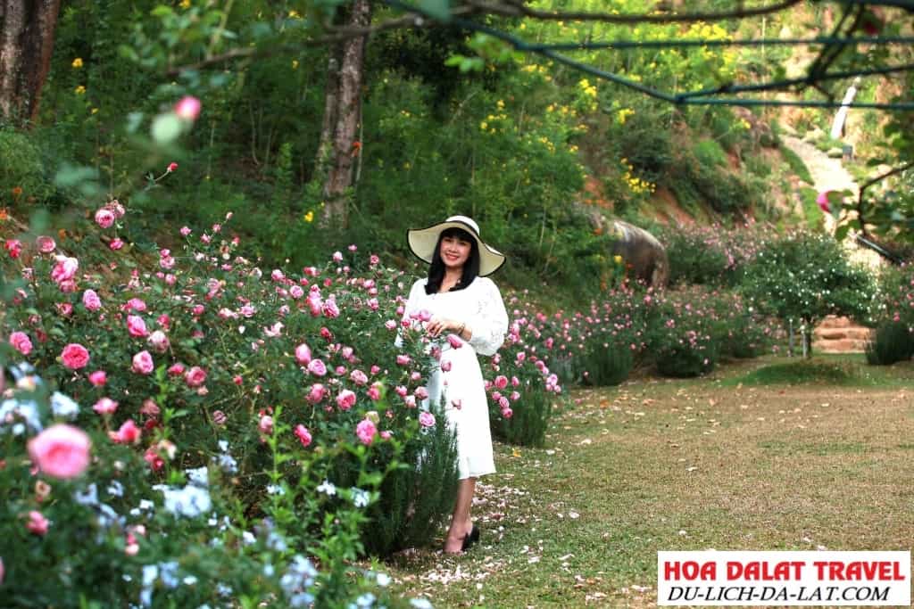Với hơn 500 giống hồng đẹp