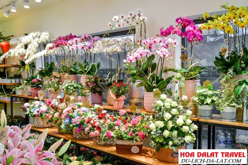 Đà Lạt Hasfarm