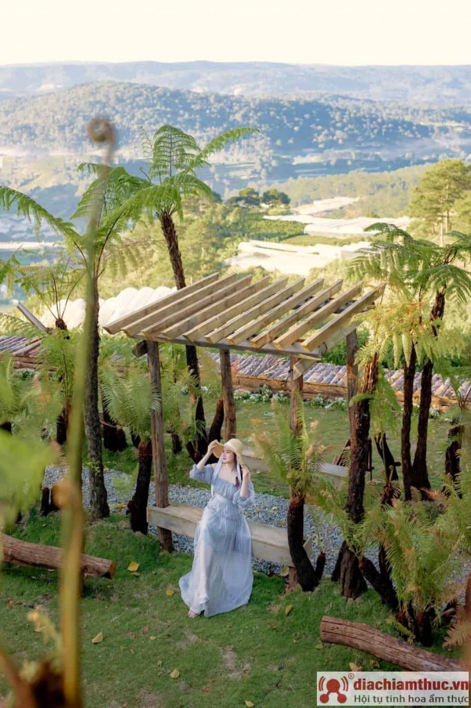 Thông tin Thung Lũng Khói Xanh
