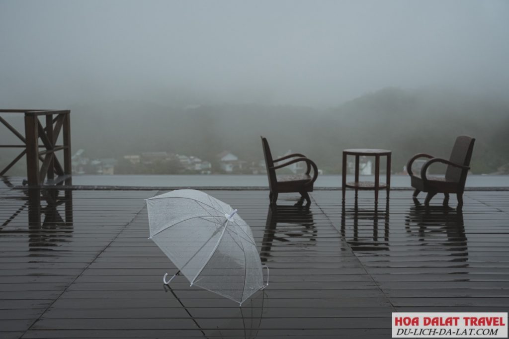 Một ngày mưa ở tiệm