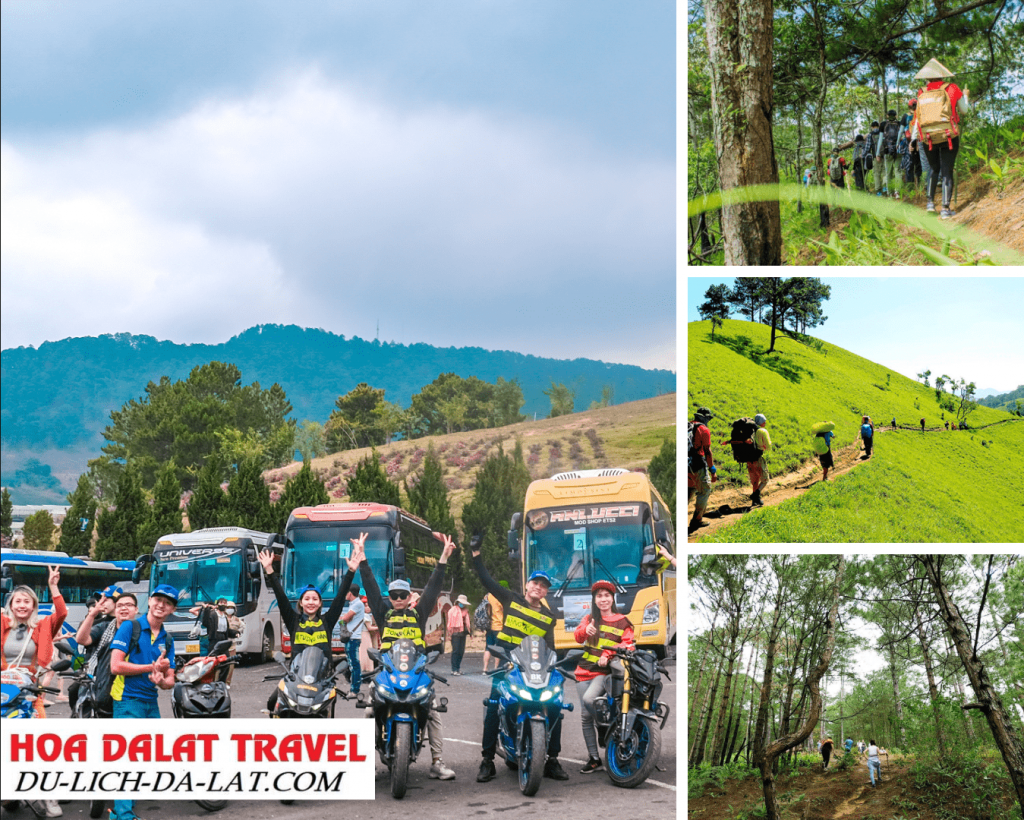 Quy Định Độ Tuổi Và Sức Khoẻ của tour
