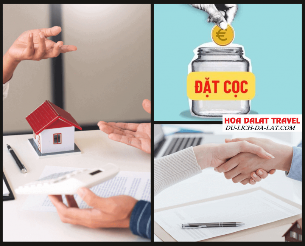 Quy định đặt cọc tour
