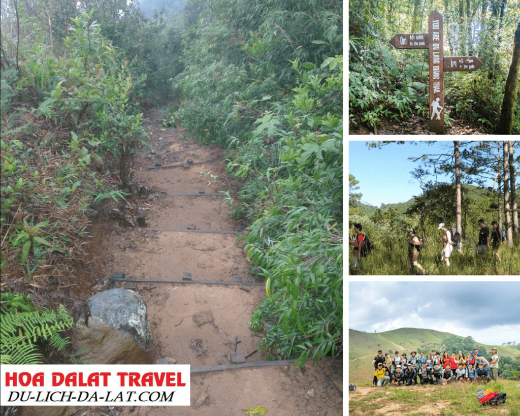Quy định hủy tour leo núi