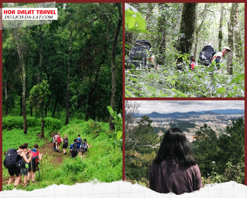 Quy định hủy tour trekking samson