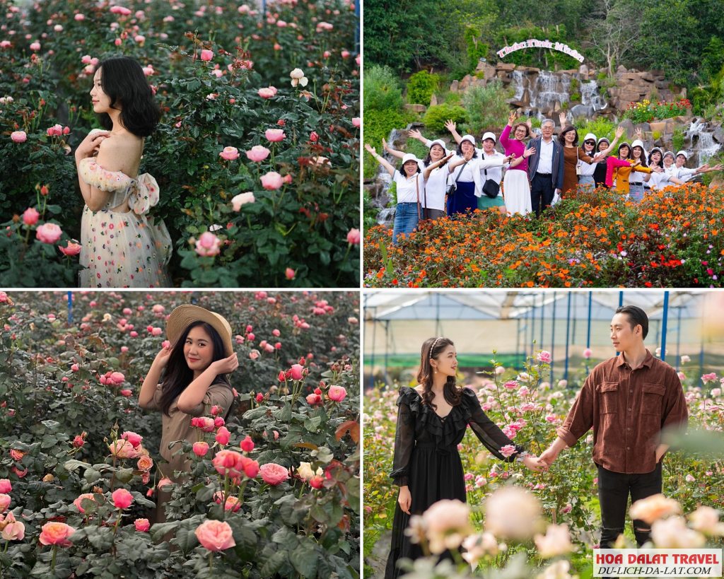 Hòa quyện màu sắc và thiên nhiên với các loài hoa