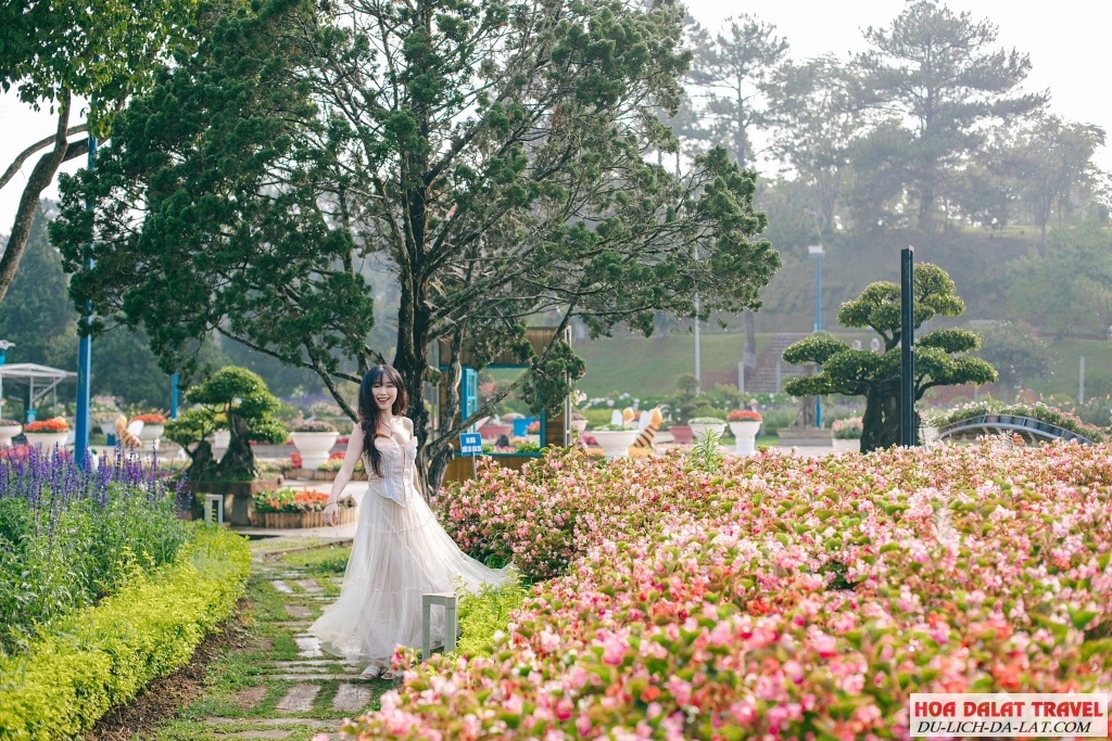 Ngoài hoa hồng thì nơi đây còn nhiều loài hoa đẹp của Đà Lạt