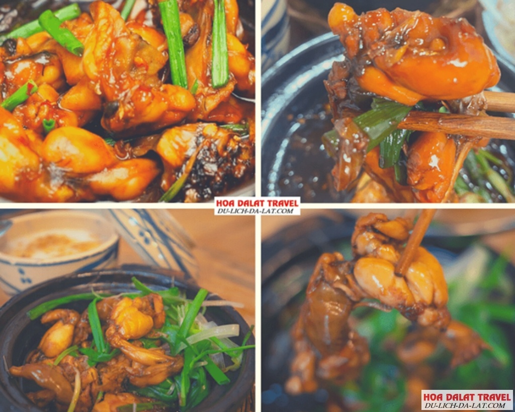 Quán cháo ếch đêm Đà Lạt