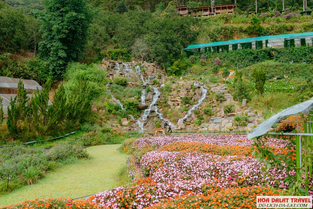 Review Thung Lũng Hồng Đà Lạt