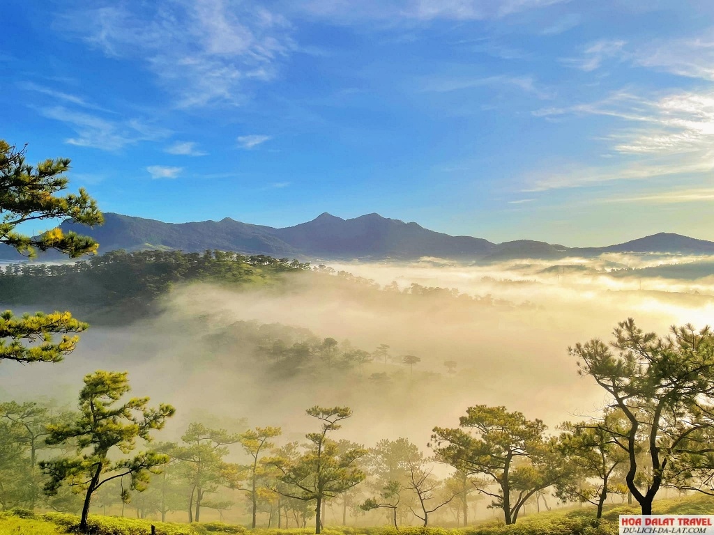 Thời tiết ở Đà Lạt vào tháng 1