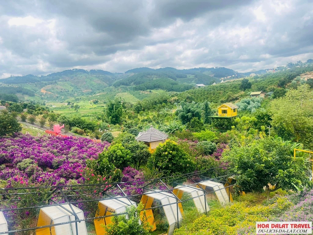 Thung lũng hoa Tà Nung Đà Lạt
