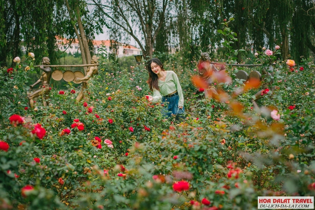 Vườn Hoa Thành Phố Đà Lạt