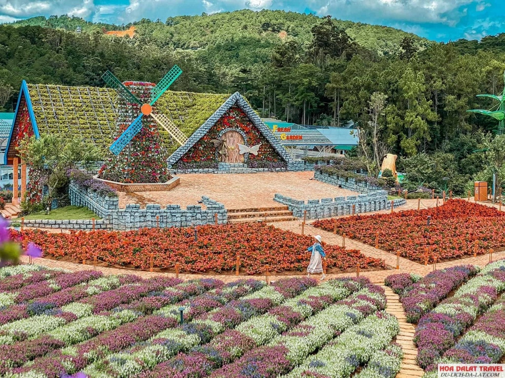 Check in các địa điểm Đà Lạt tháng 2
